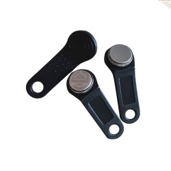 iButton Key